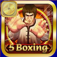 5 BOXING