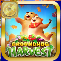 GROUNDHOG HARVEST