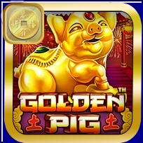 GOLDEN PIG